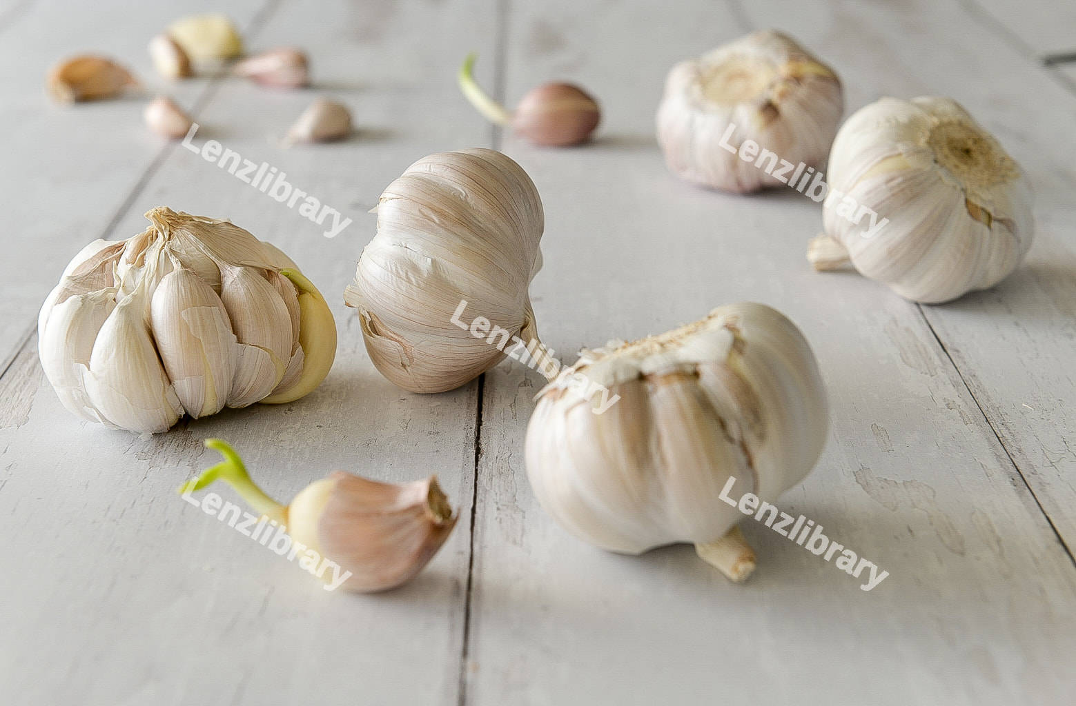 Garlic bulbs